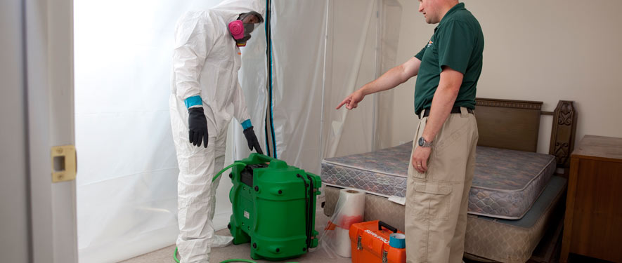 Mission Viejo, CA mold removal process